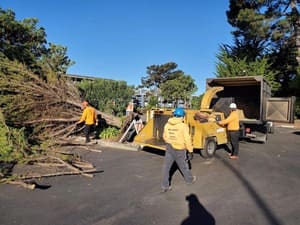 Hardscape in Walnut Creek
