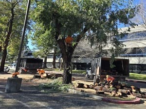 Landscape Maintenance in Walnut Creek