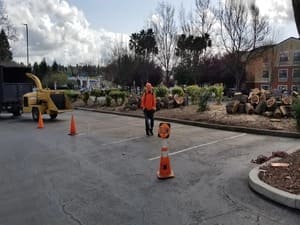 Irrigation & Turf in Walnut Creek