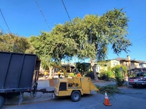 {{ custom_values.service_2 }} in {{custom_values.area_1})