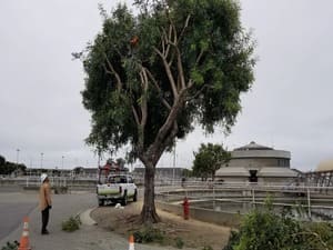 {{ custom_values.service_2 }} in {{custom_values.area_2})