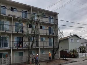 Tree Removal in Pleasant Hill