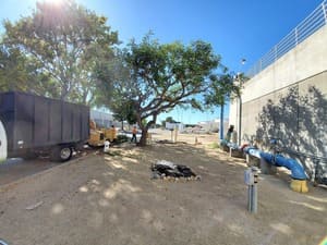 Tree Pruning in Pleasant Hill