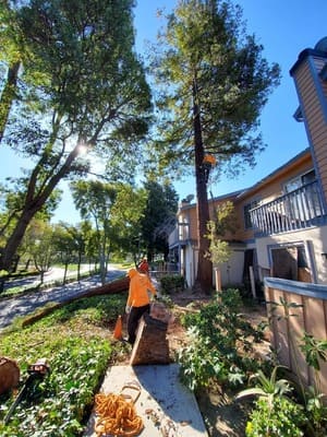 {{ custom_values.service_1 }} in {{custom_values.area_5})