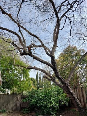 {{ custom_values.service_2 }} in {{custom_values.area_6})