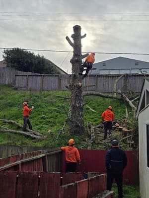 {{ custom_values.service_3 }} in {{custom_values.area_4})