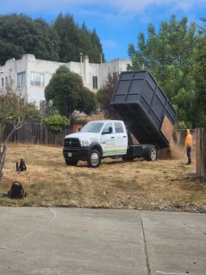 {{ custom_values.service_3 }} in {{custom_values.area_7})