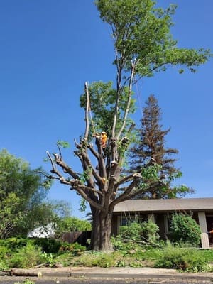 {{ custom_values.service_2 }} in {{custom_values.area_4})