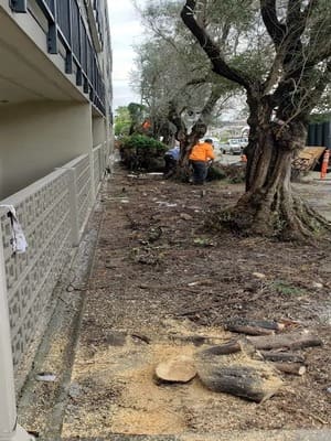 {{ custom_values.service_1 }} in {{custom_values.area_7})