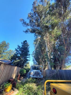 {{ custom_values.service_2 }} in {{custom_values.area_5})