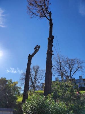 {{ custom_values.service_2 }} in {{custom_values.area_7})