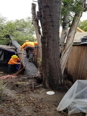 {{ custom_values.service_1 }} in {{custom_values.area_6})