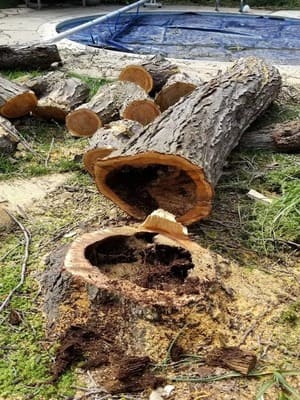 {{ custom_values.service_3 }} in {{custom_values.area_5})