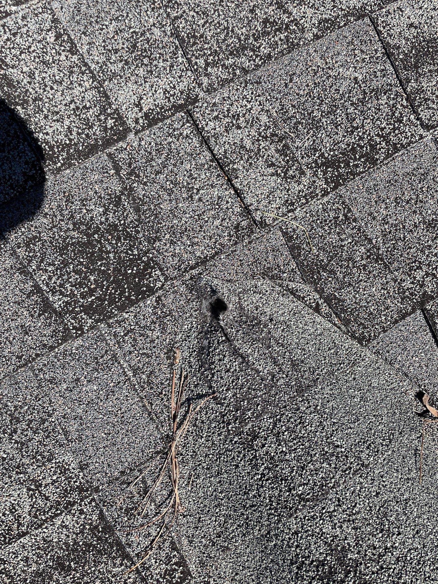 Recent Shelter Guard gutter project
