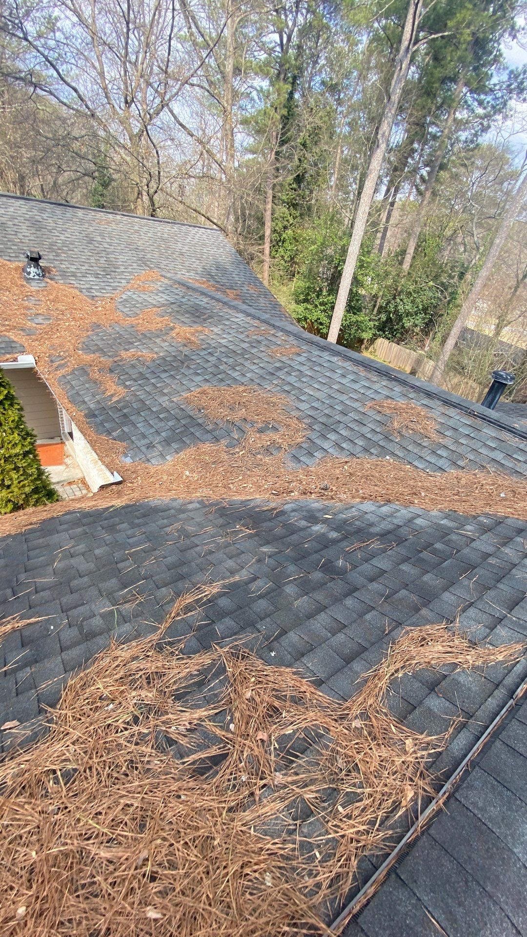 Pine straw and leaf load sitting on a roof and in the gutters