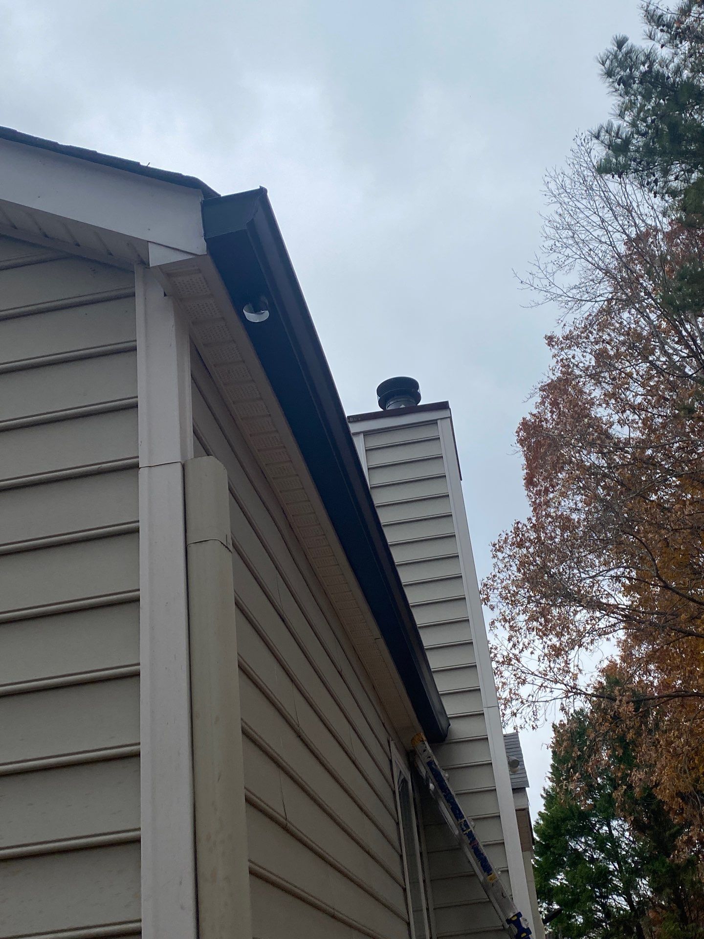 Looking up at a roofline and downspout with a ladder in place