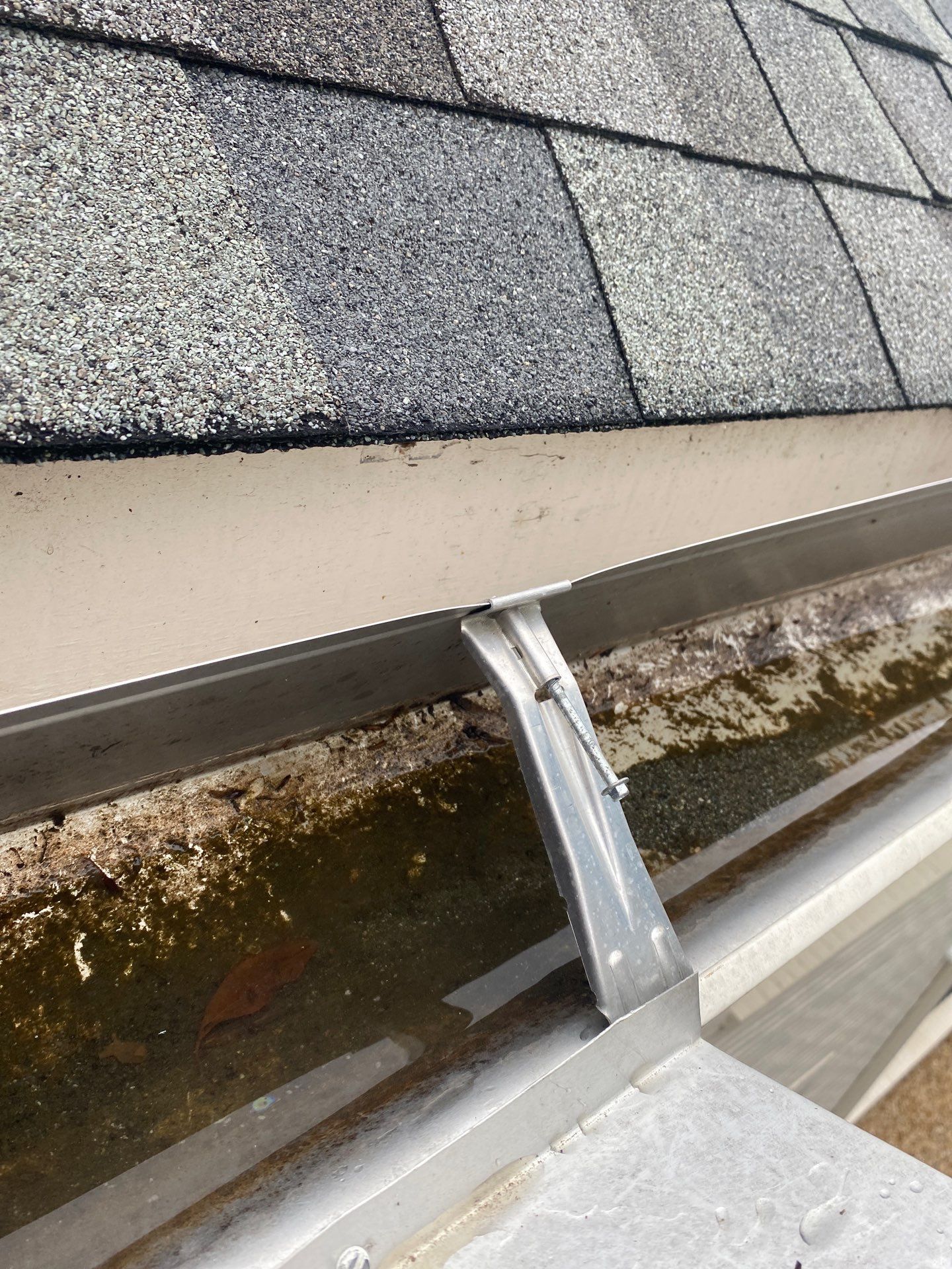 Rusted gutter spike backed out of a fascia board