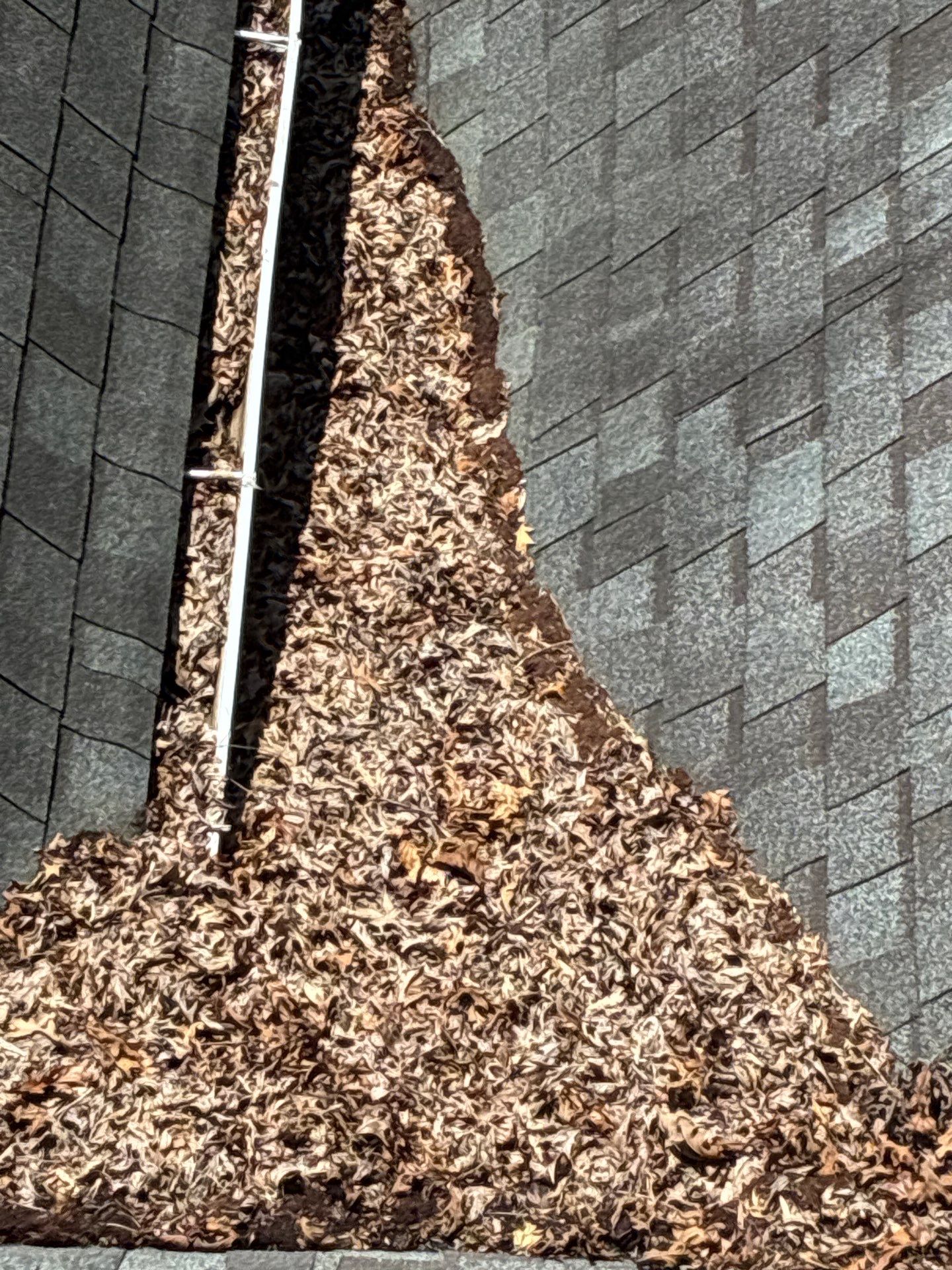 Gutter hanging crooked and pulling away from the roofline