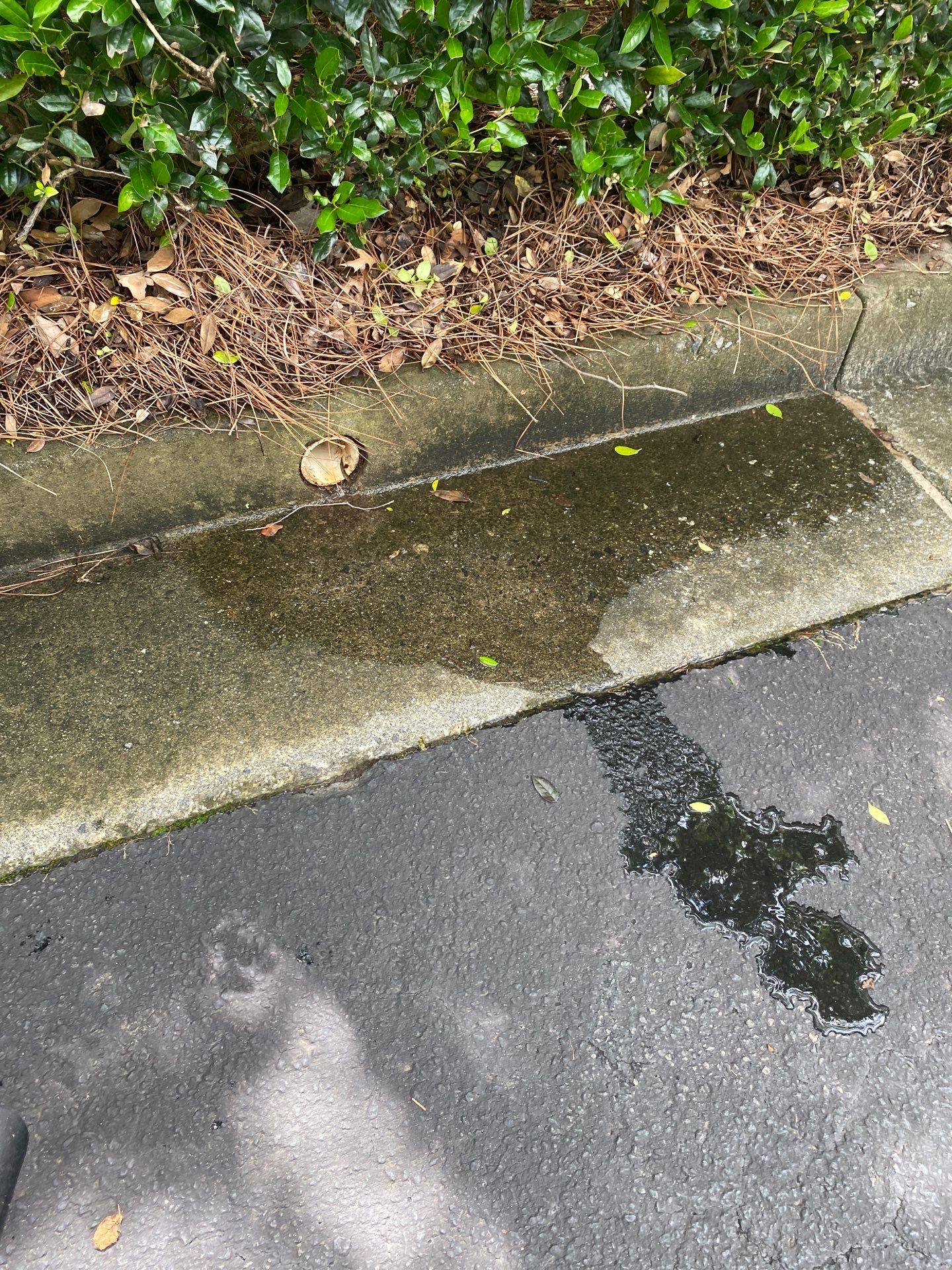 Underground drainage work at a home