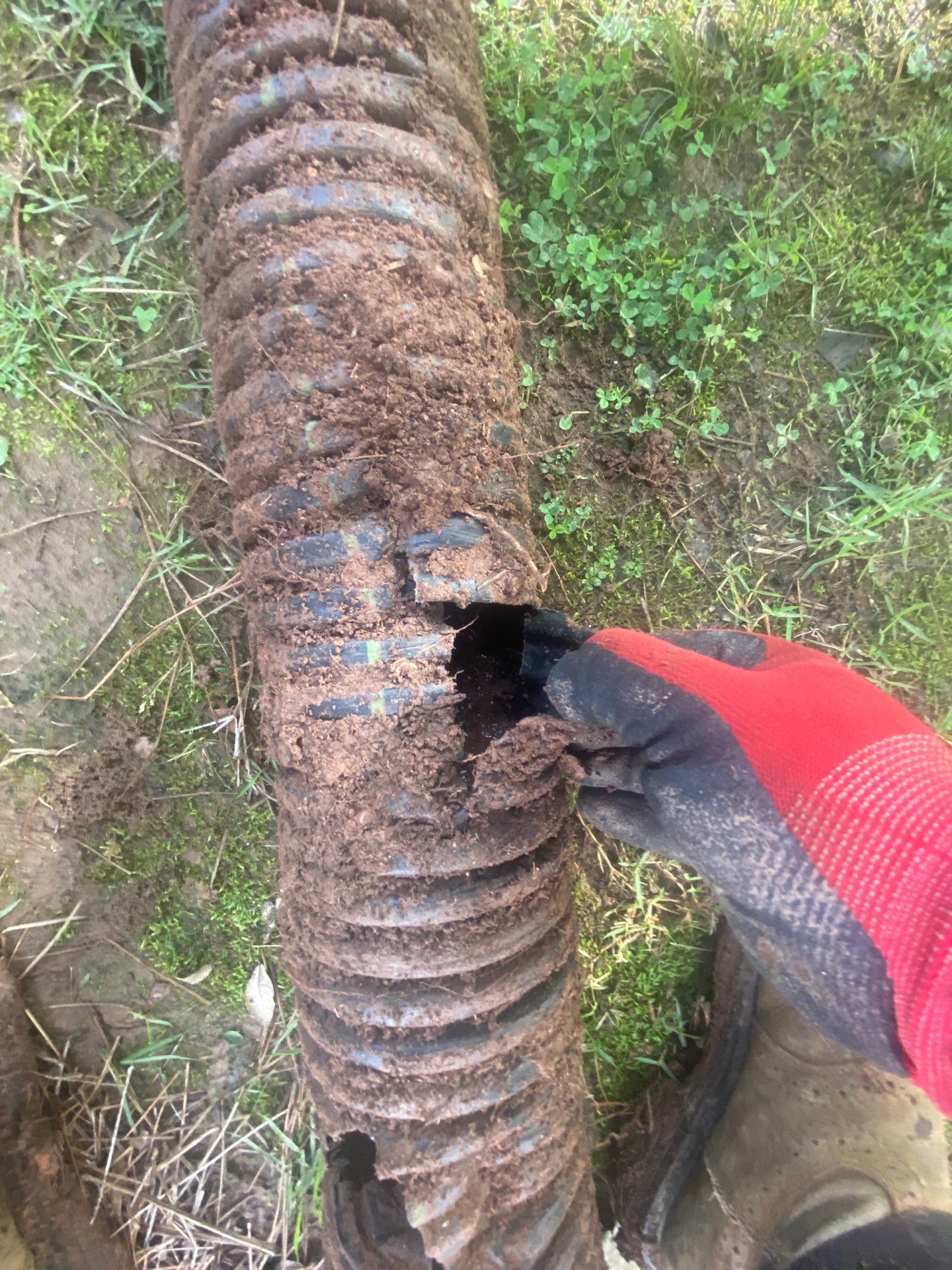 Gloved hand clearing a corrugated drain pipe