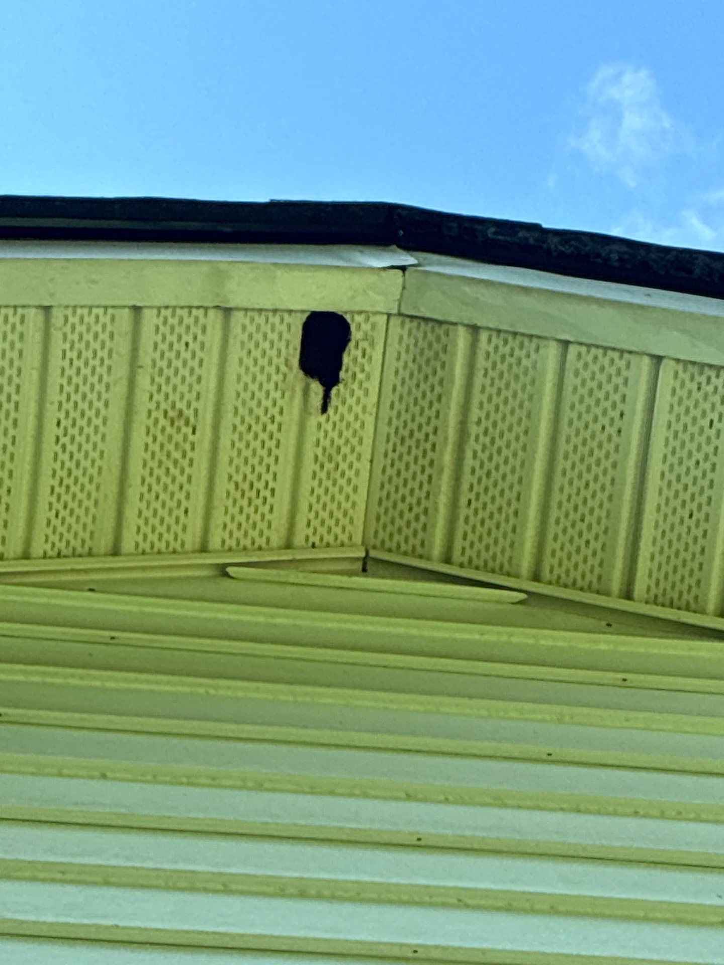 Repaired soffit section matched to the existing vent pattern