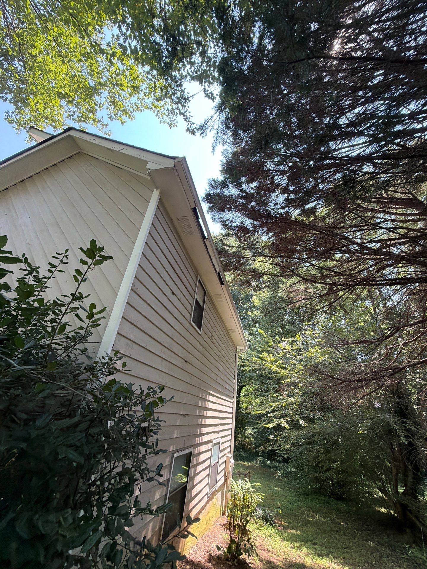 Home roofline shaded under heavy tree cover