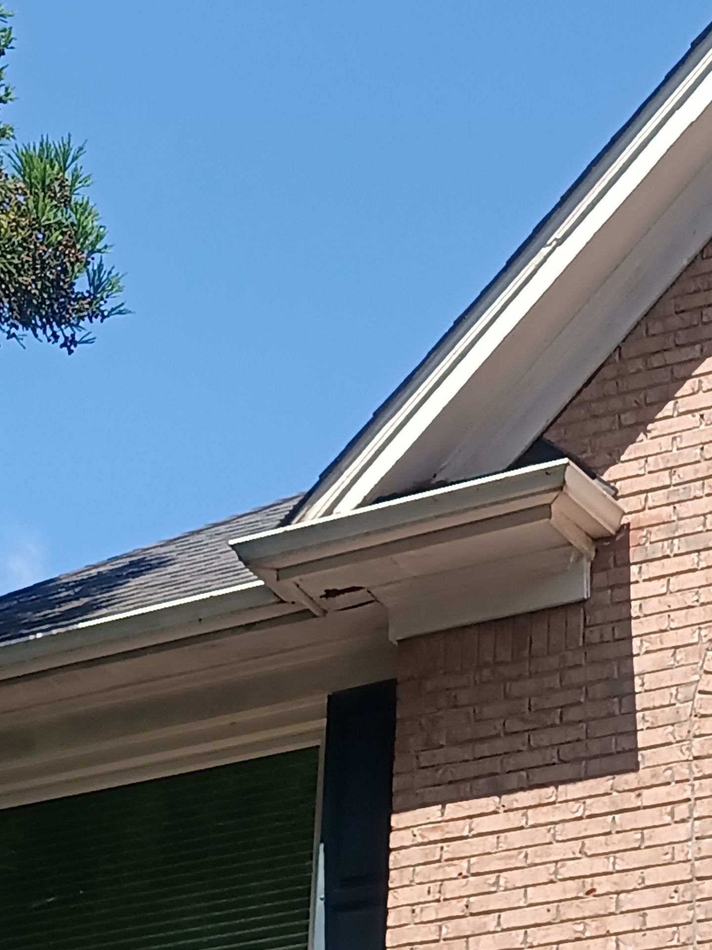 Brick corner with the gutter line and a hanging plant