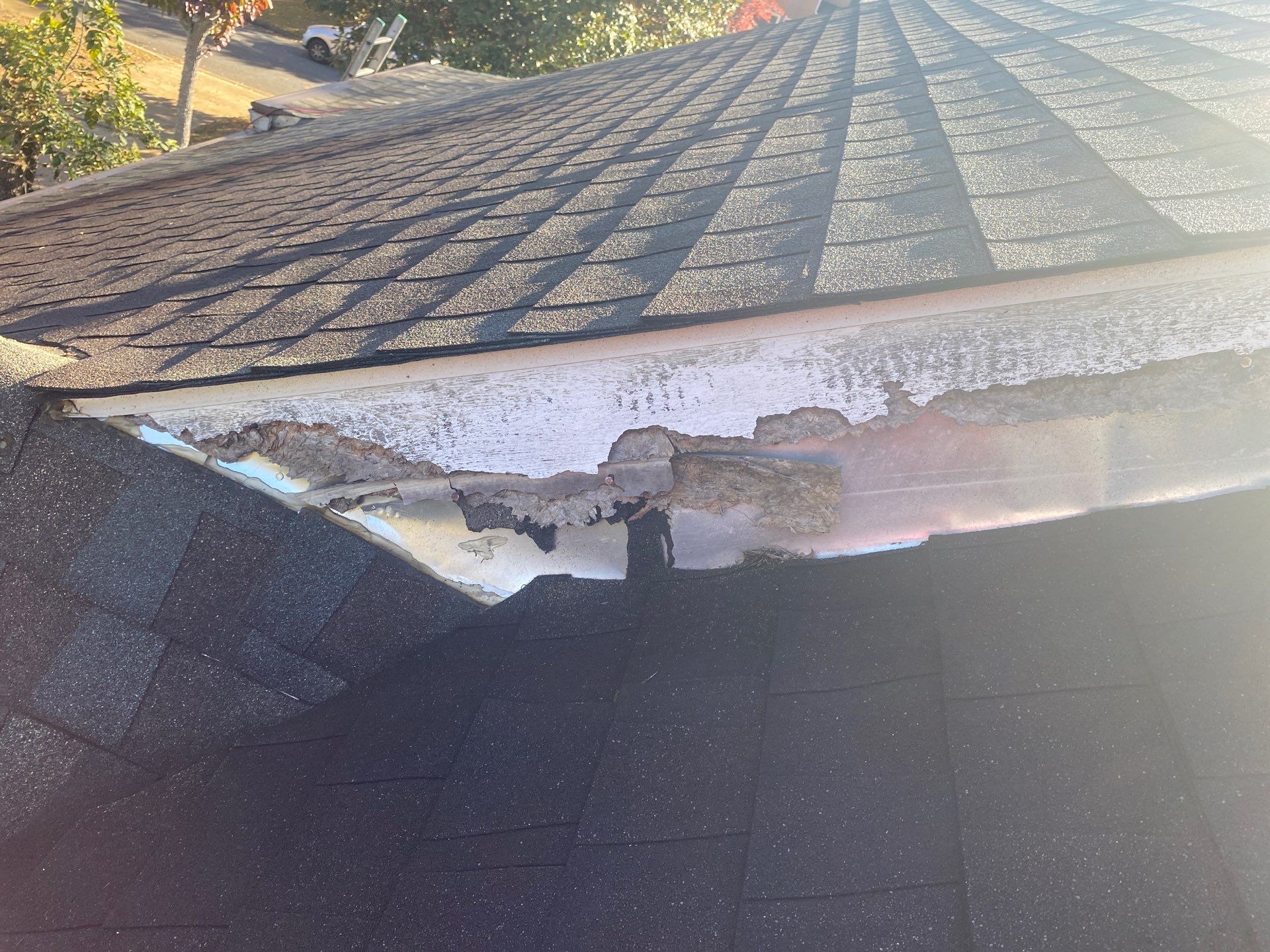 Severely rotted fascia board split open along the roof edge