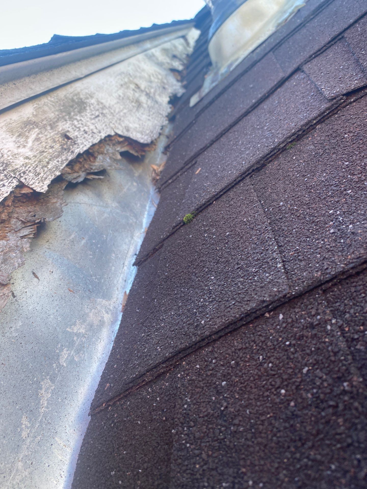 Fascia board with peeling paint and visible rot at the roof edge