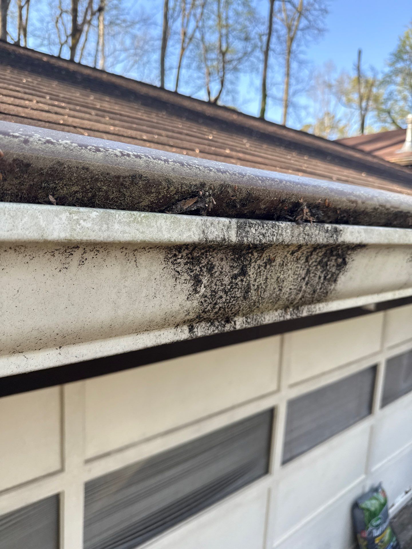Rusted, algae-stained gutter running along a roofline