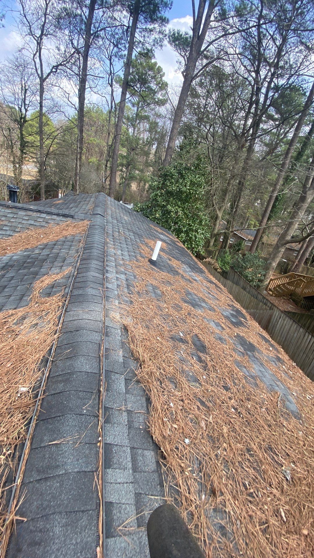 Long shingle run loaded with pine straw