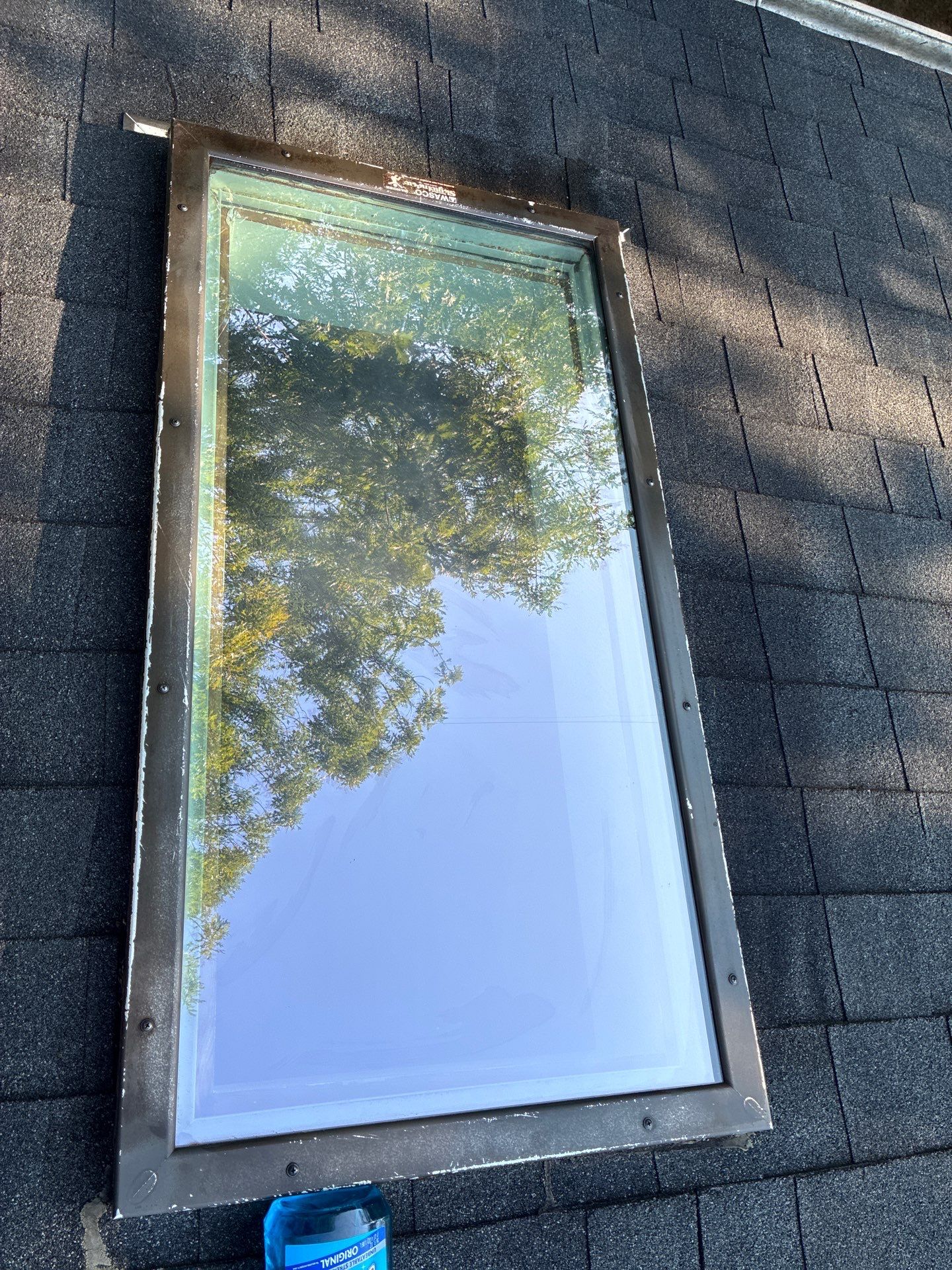 Skylight glass after a cleaning, clear enough to reflect the trees overhead