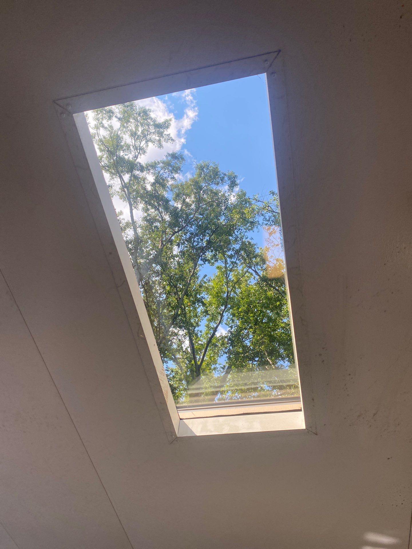 Clear skylight interior view up through the trees after a cleaning visit