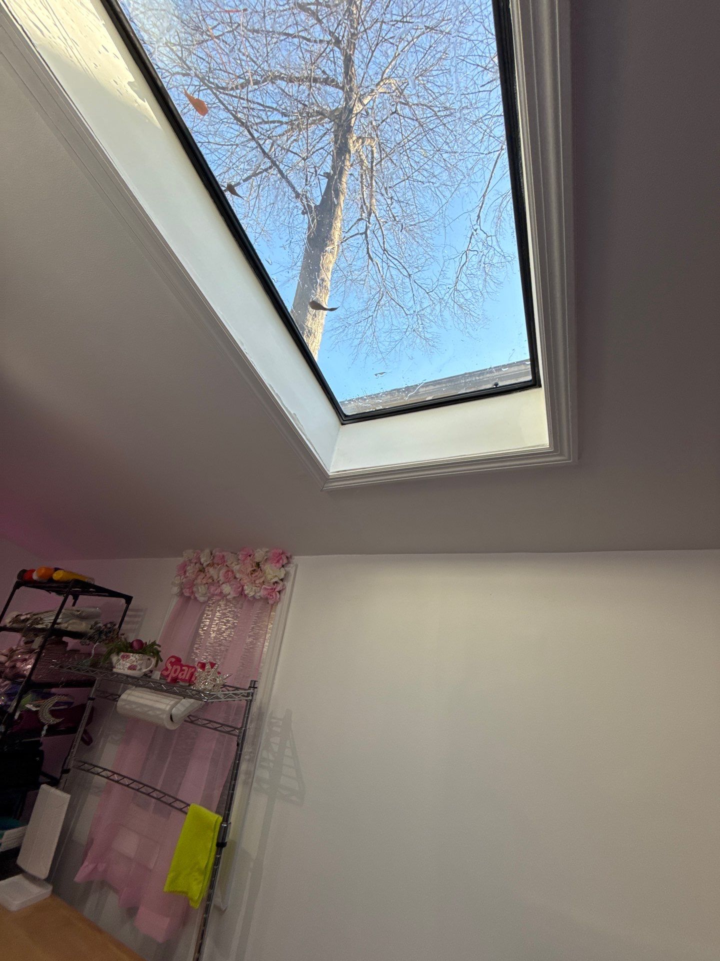 Clean skylight interior view of bare winter tree branches against blue sky