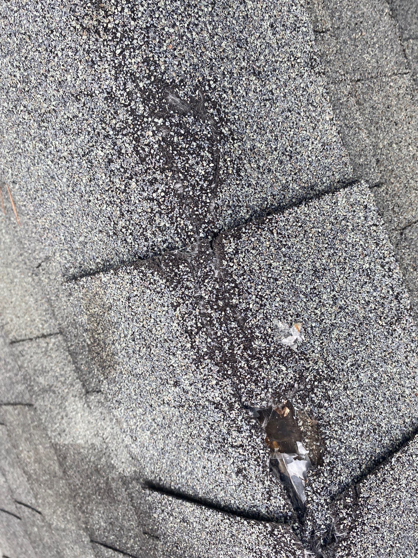 Close-up of granule loss and wear on an asphalt shingle surface