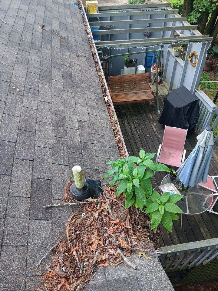 Debris and plant growth in a gutter run above a back deck