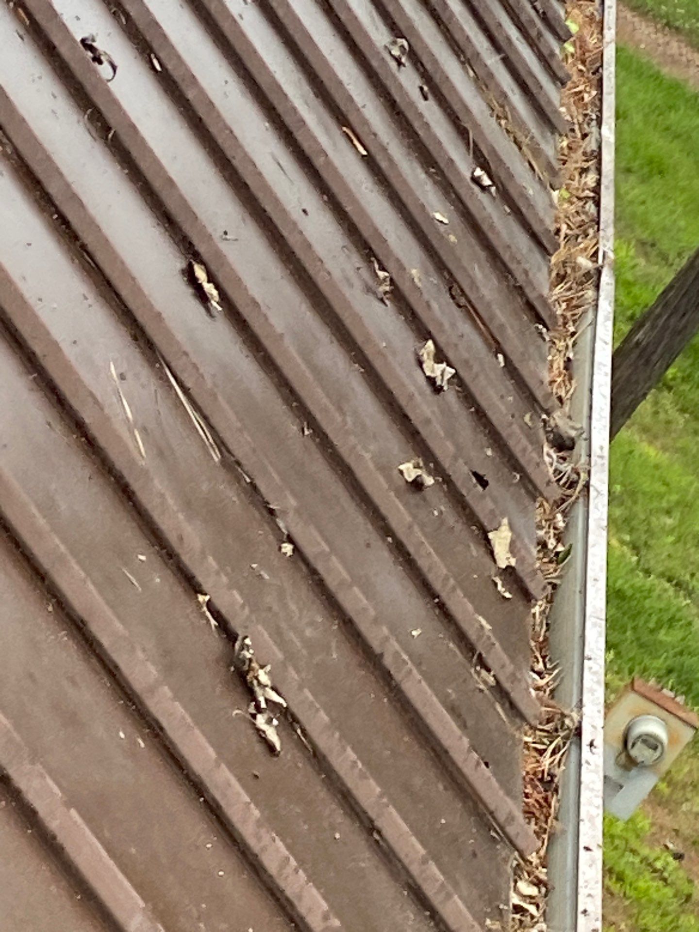 Gutter packed with leaf debris along a metal roof edge