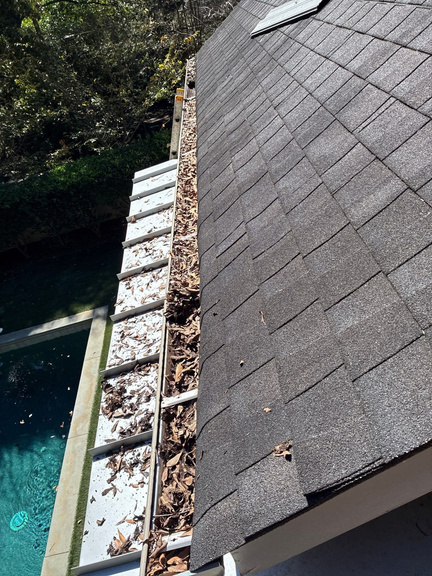 Gutter packed with leaves and roof grit above a backyard pool