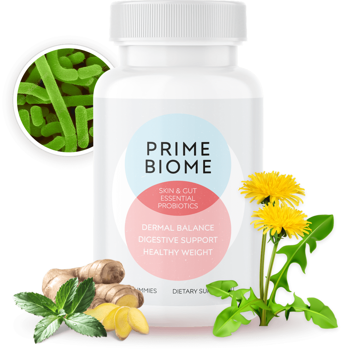 PrimeBiome™ | Official | Skin & Gut Health Supplement