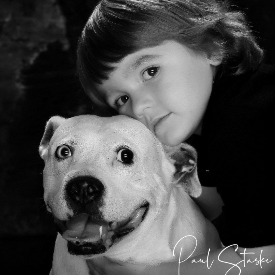 Professional toddler portrait photography in Champaign IL
