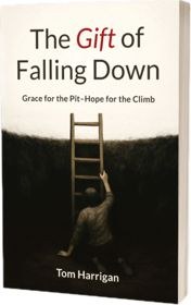 The Gift of Falling Down by Tom Harrigan, published by Two Penny Publishing