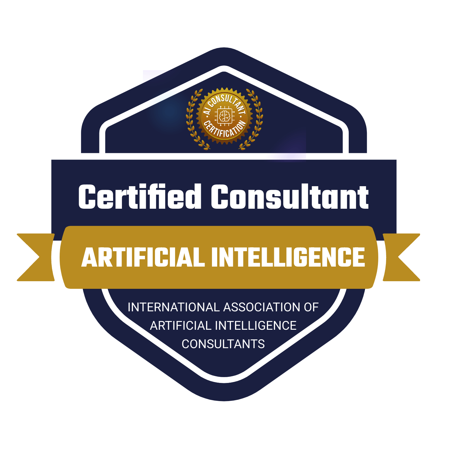 Internationally Accredited Certified AI Consultant
