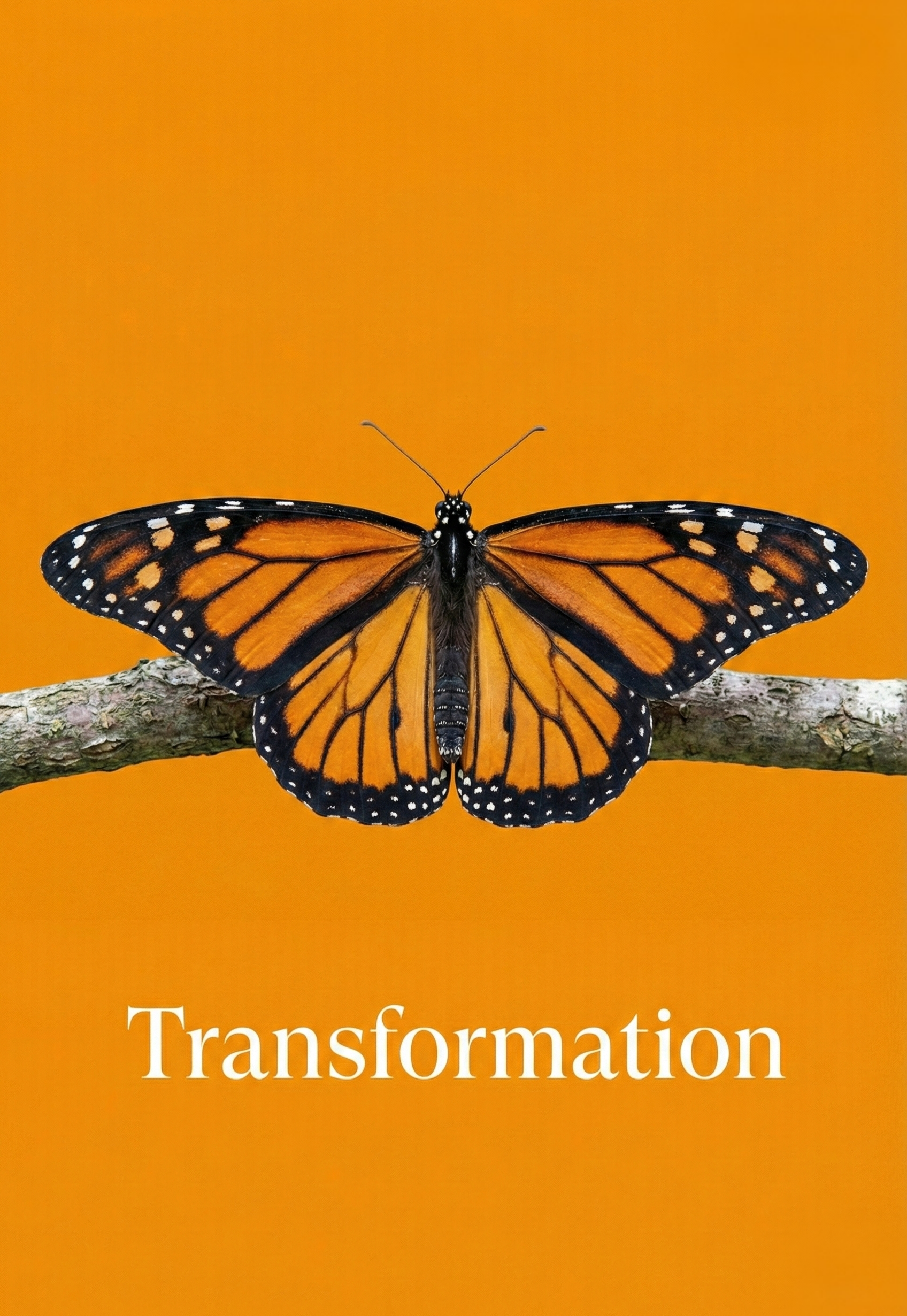 Our approach to trauma-informed coaching and chronic illness coaching. Mindset + Mastery UK