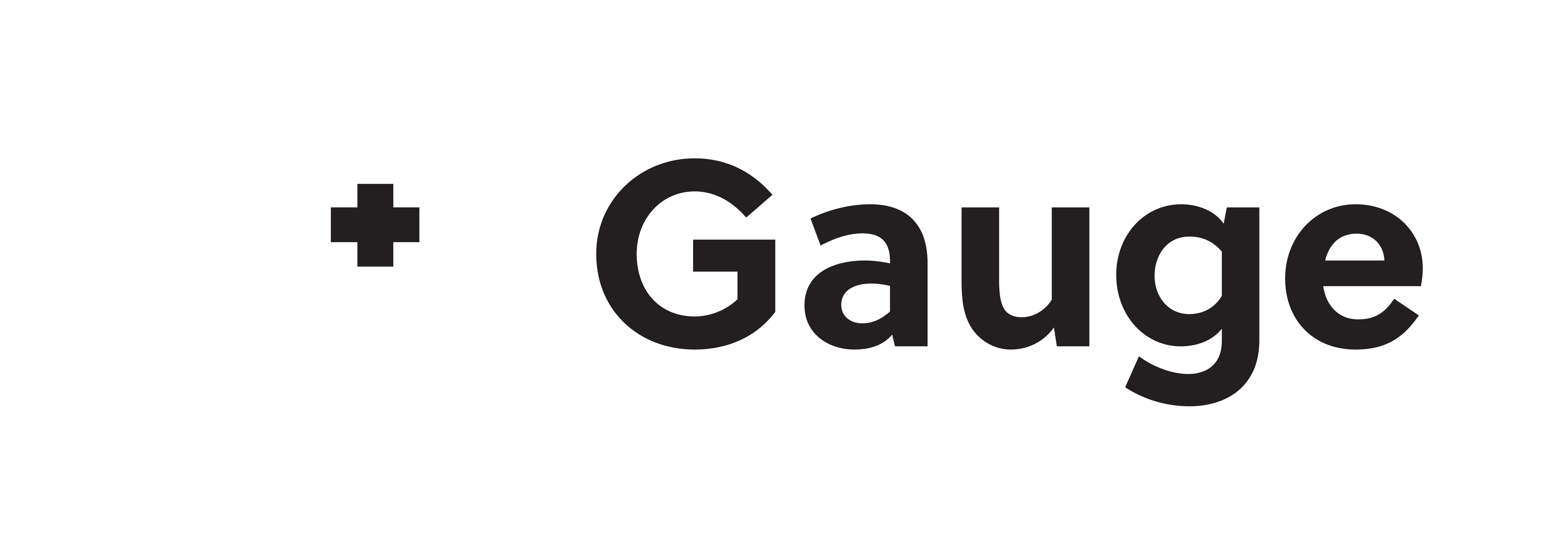 LifeGauge Logo