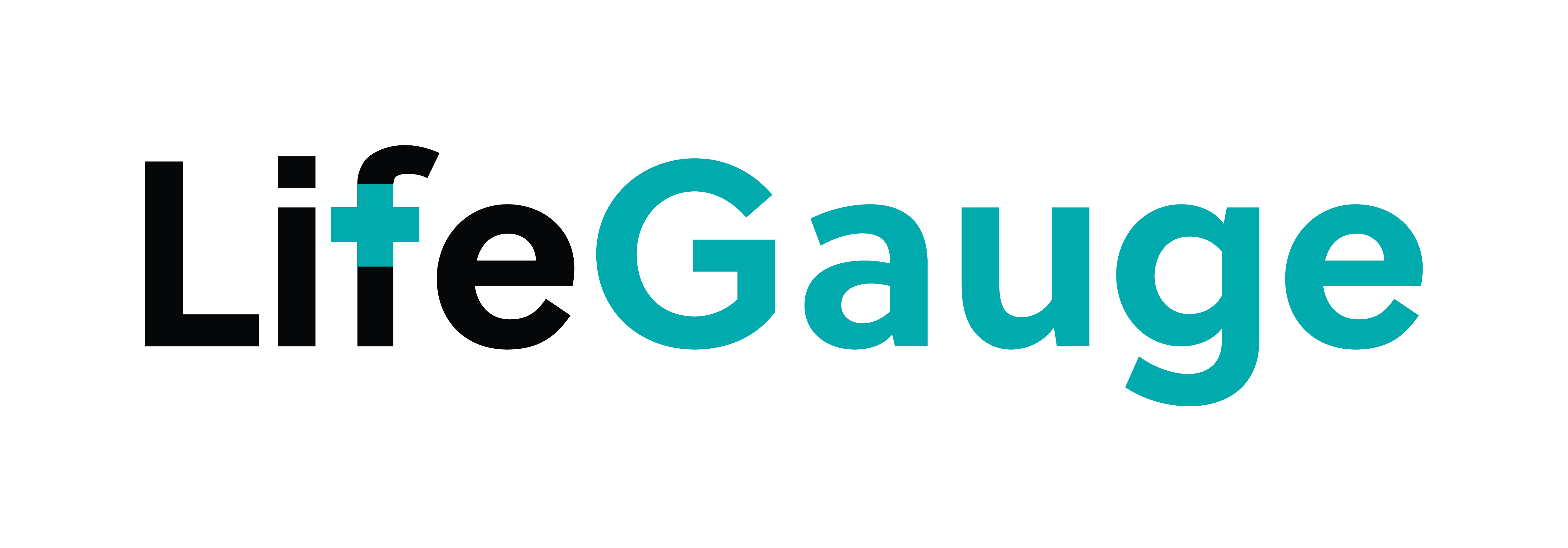 LifeGauge Logo
