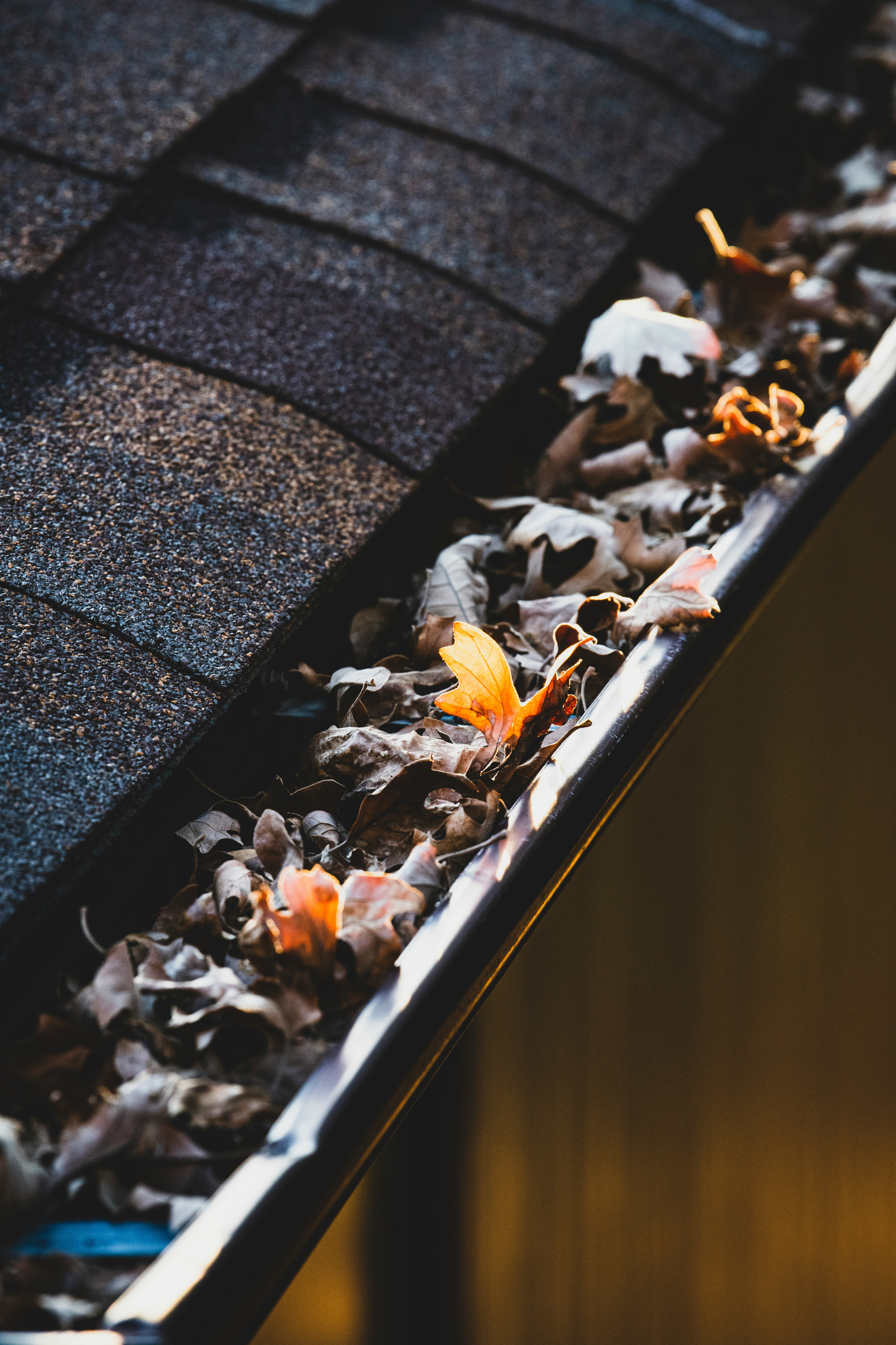 Sheffield Gutter Cleaning