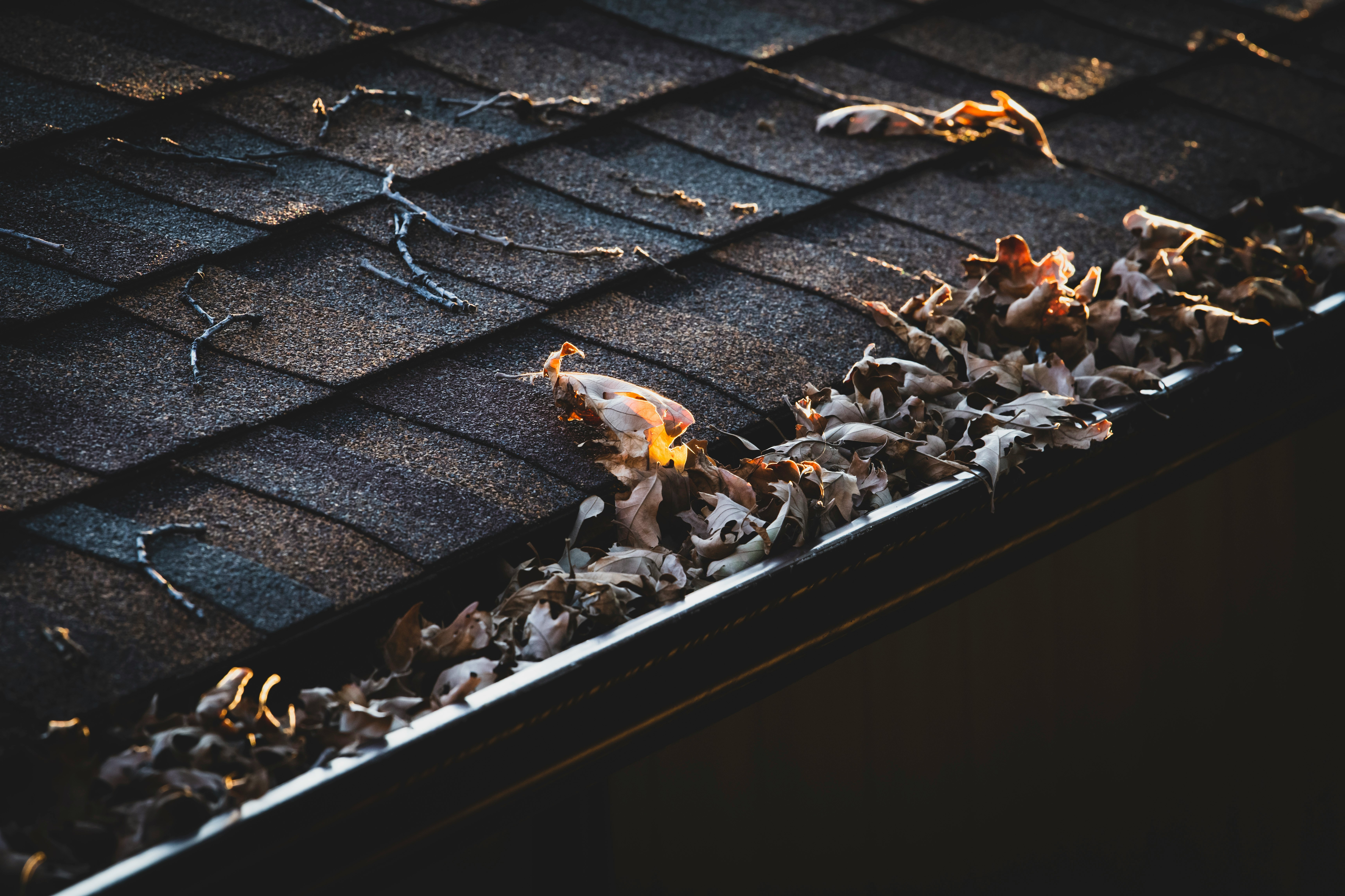 Roof Replacement