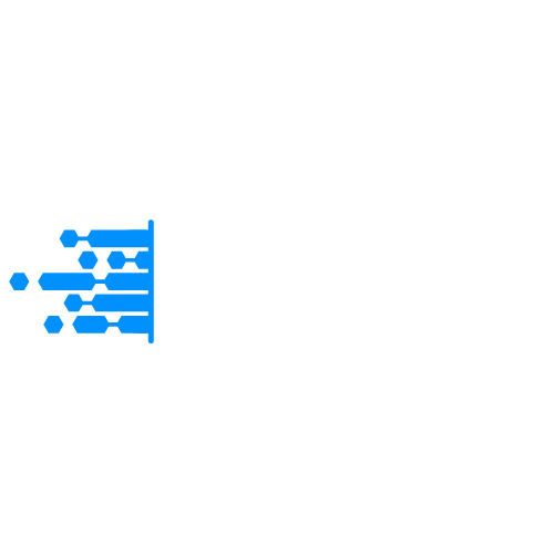 Digital Solutions Franchise Consulting