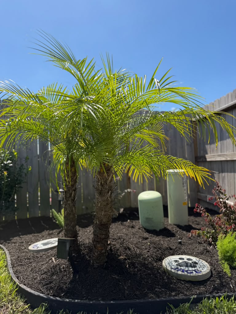 A-Plus Outdoor Solutions