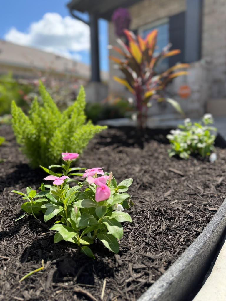 A-Plus Outdoor Solutions